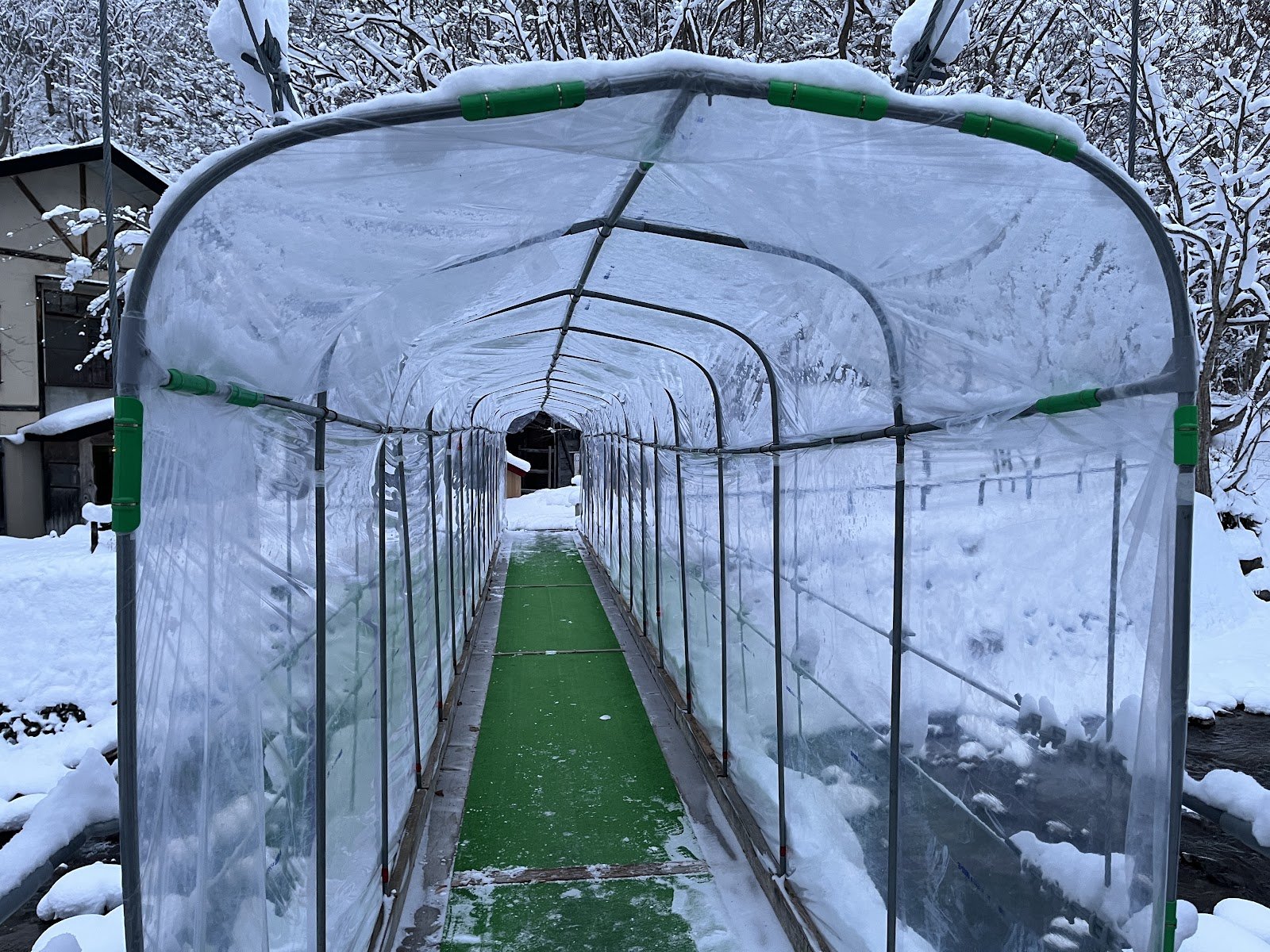 雪が積もった青荷温泉への道