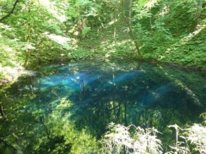十二湖の青池。まわりのブナ林が水面に映り込んでいる