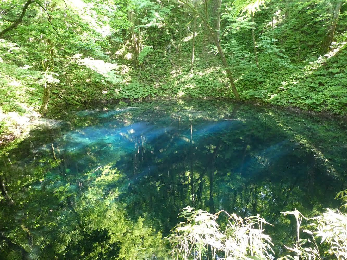 十二湖の青池。まわりのブナ林が水面に映り込んでいる