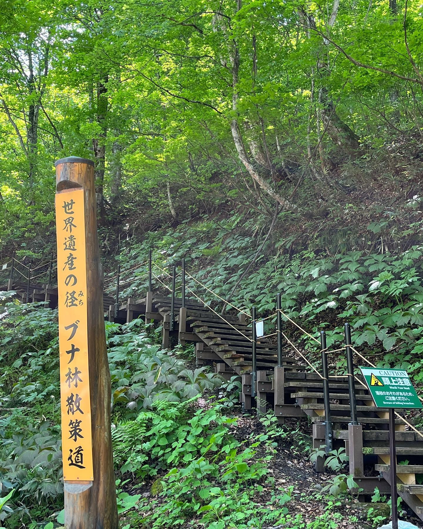 世界遺産の径 ブナ林散策道の標柱