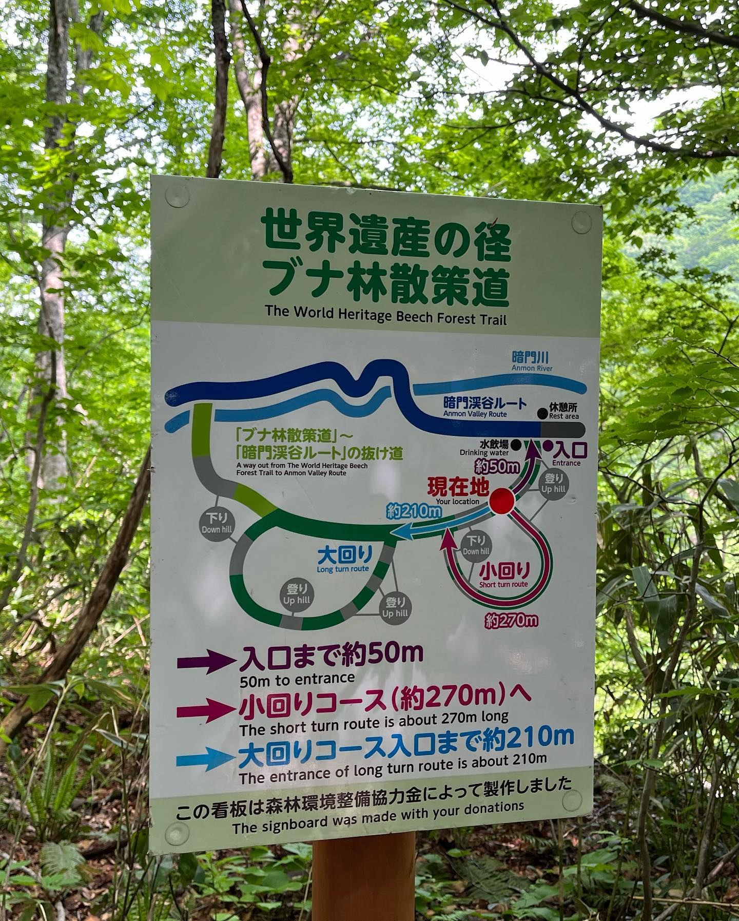 ブナ林散策道のコース図