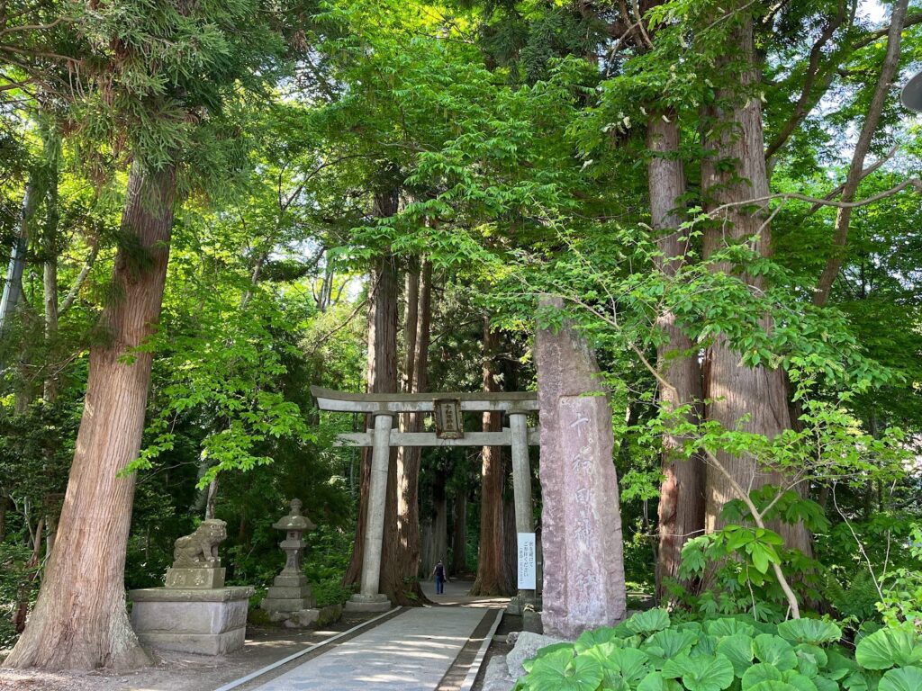 十和田神社の杉並木の参道