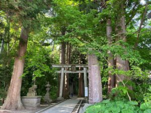 十和田神社の杉並木の参道