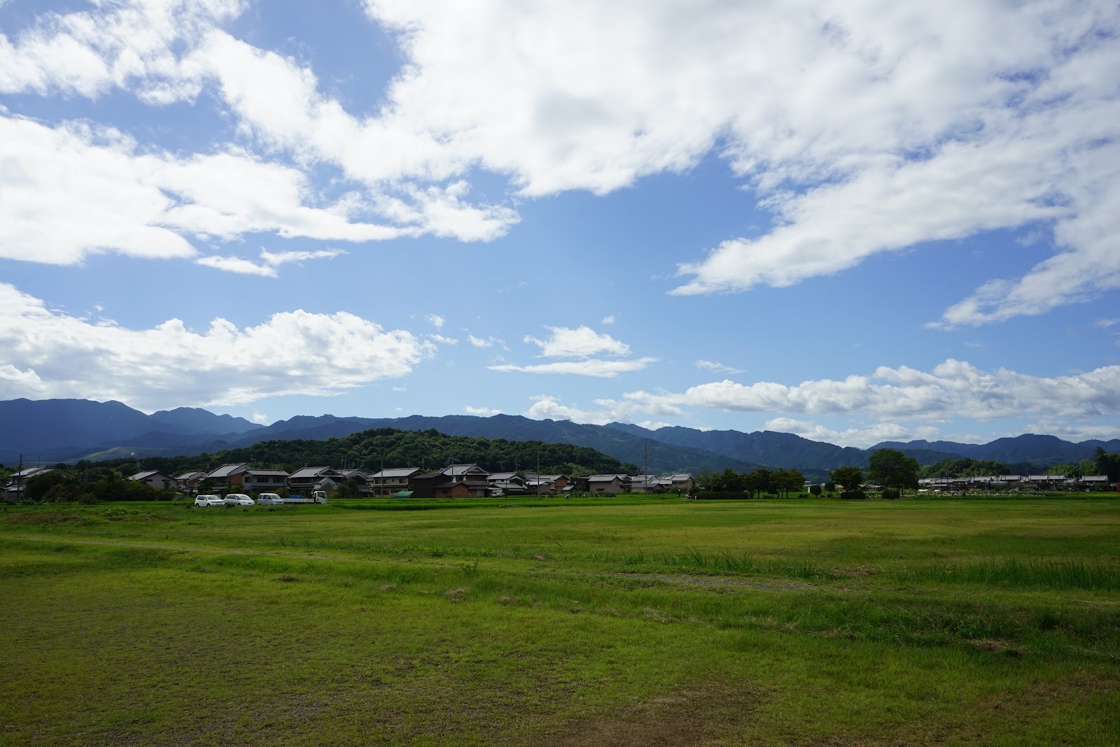 藤原宮跡の広い草地。建物は何もない