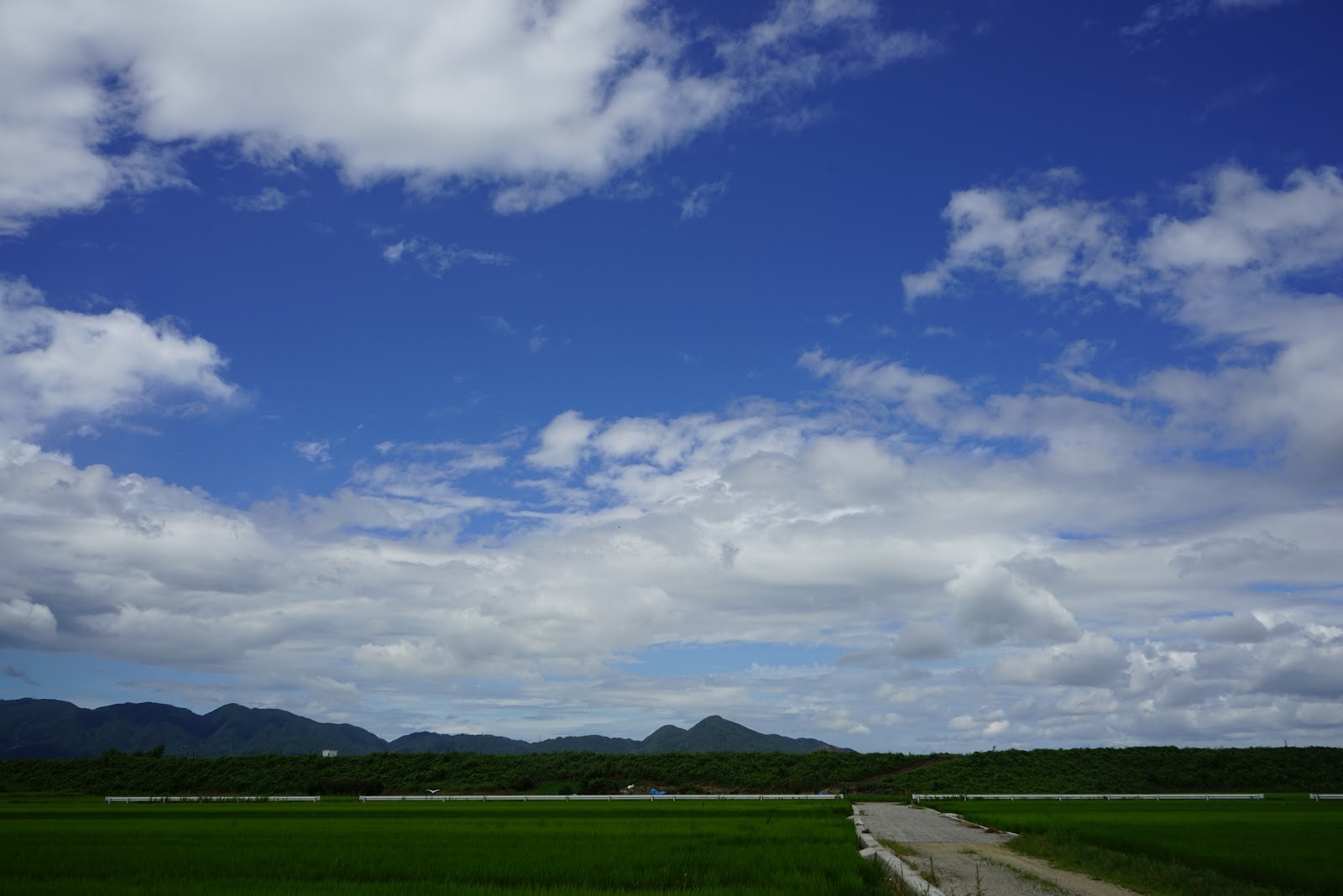 藤原宮跡のまわりの田んぼと、雲の浮かぶ空