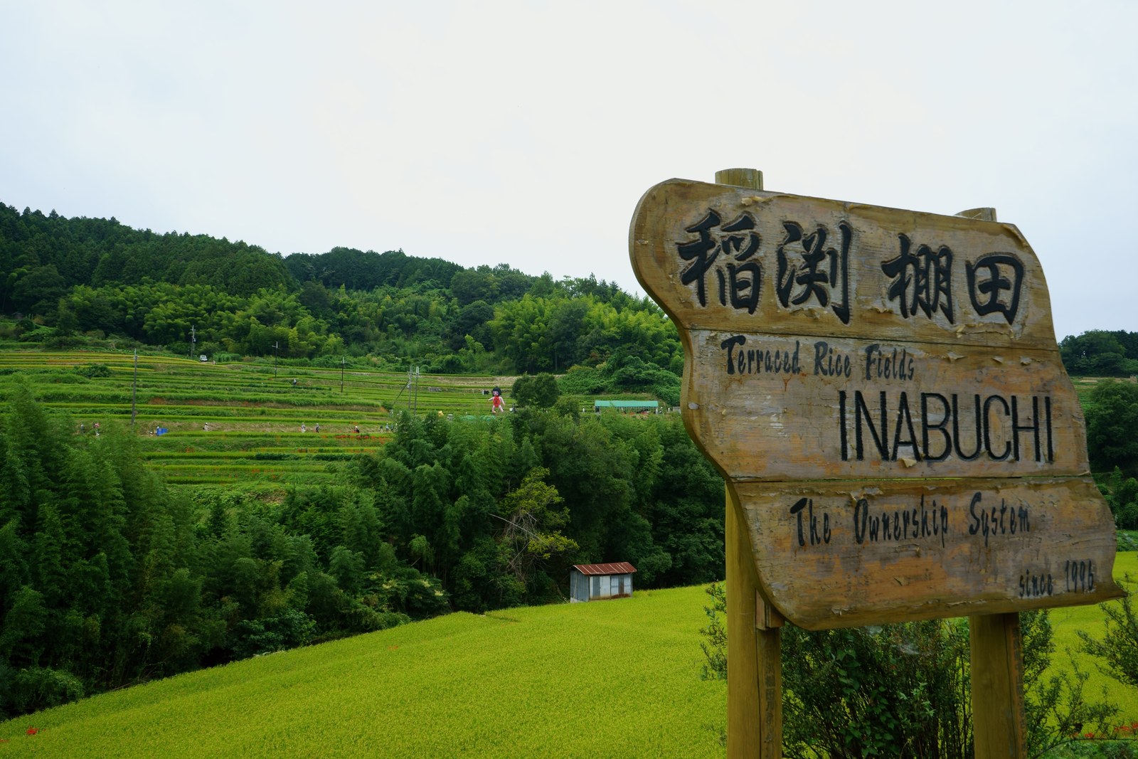「稲渕 棚田 INABUCHI」と書かれた木の看板