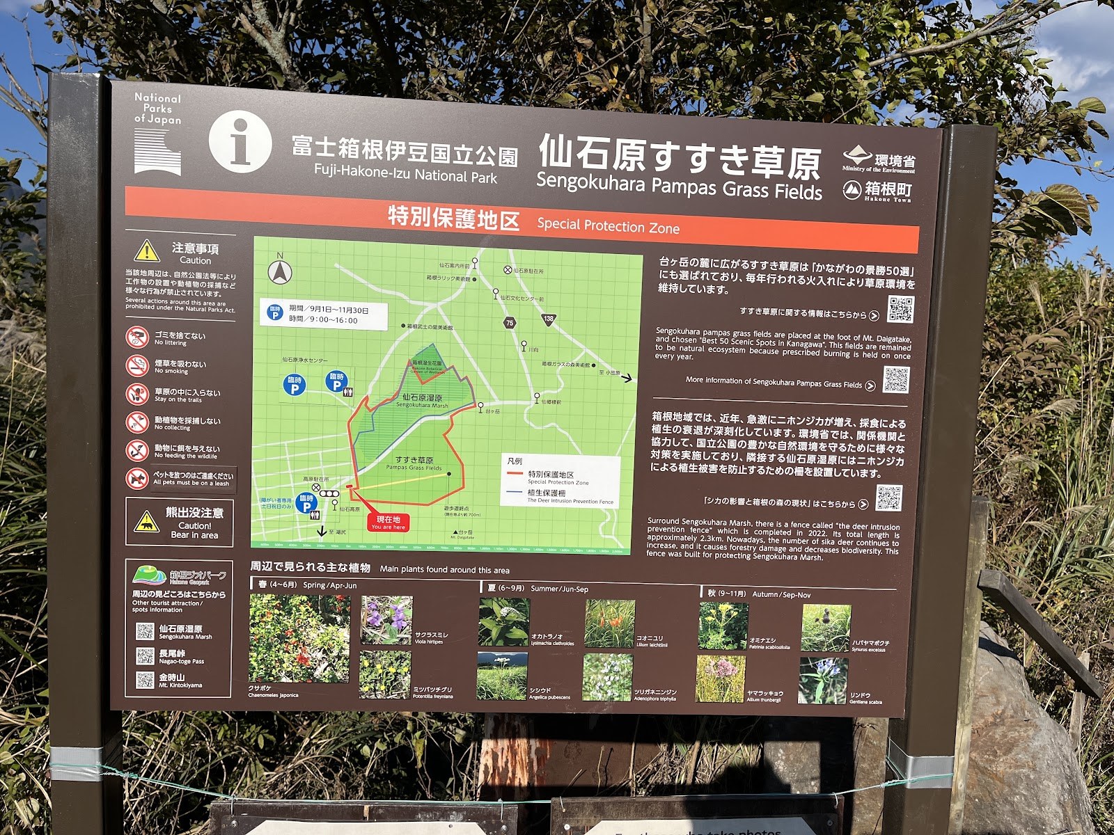 仙石原すすき草原の案内板。特別保護地区の表示