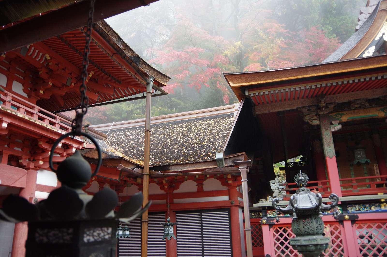談山神社の朱塗りの拝殿と、まわりの紅葉