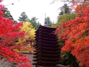 晴れた日の談山神社の十三重塔と、真っ赤な紅葉