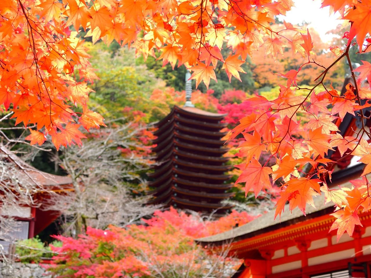 晴れた日、赤い紅葉ごしに見た談山神社の十三重塔