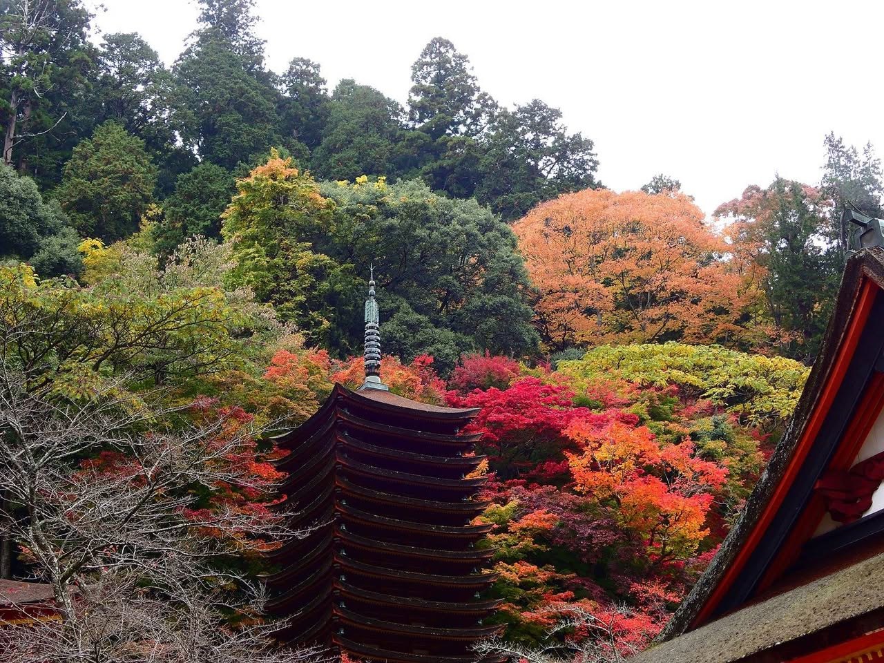 晴れた日の談山神社。十三重塔と、赤や黄色に色づいた山
