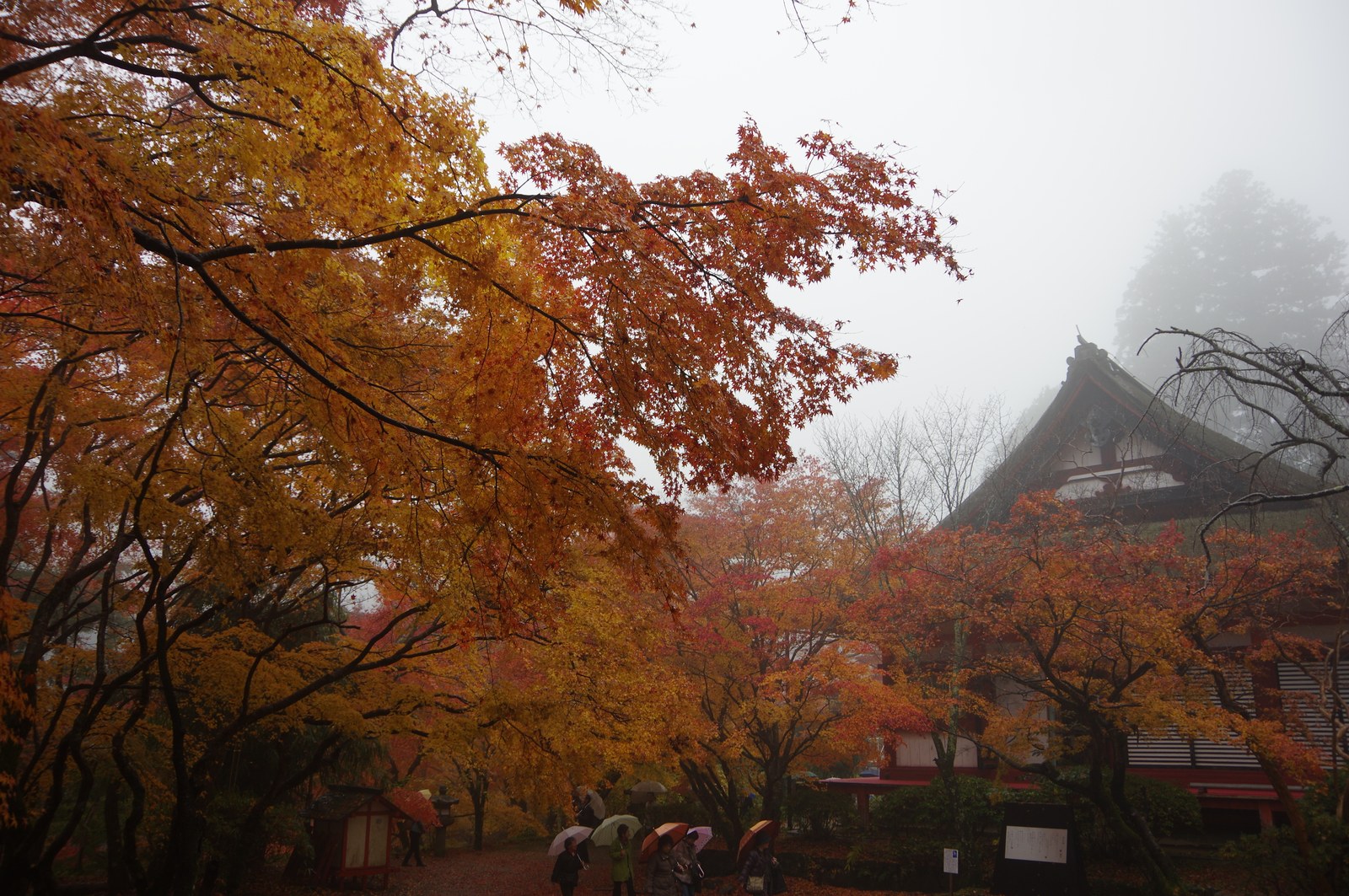 霧に包まれた談山神社の境内と紅葉