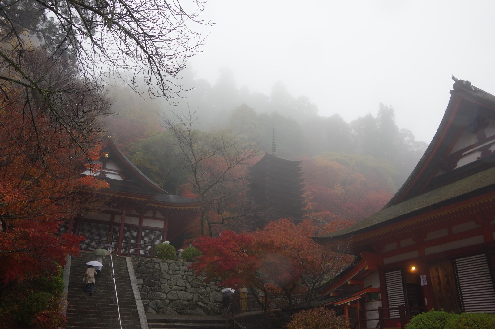 霧の中、石段の上に見える談山神社の十三重塔