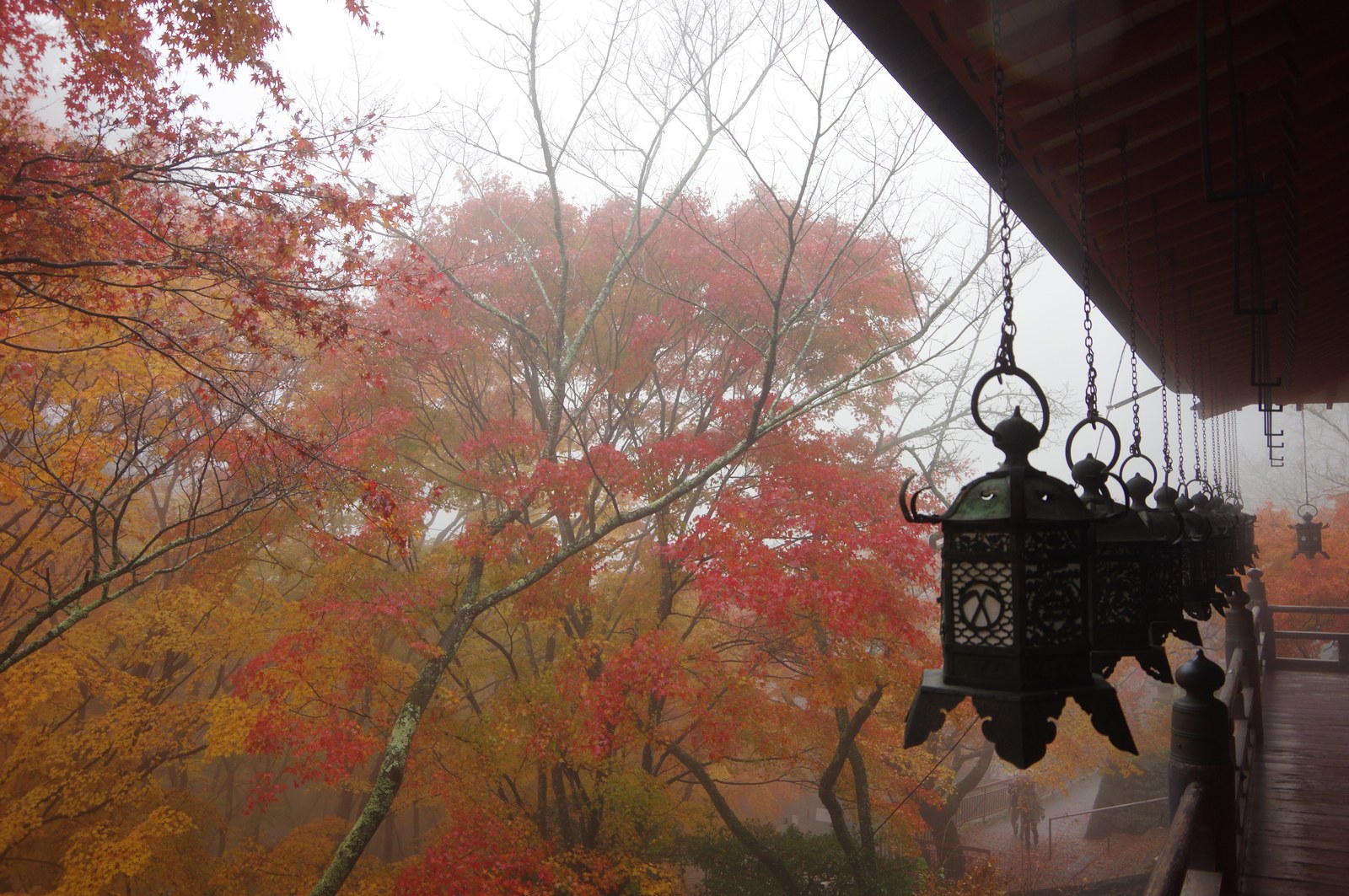 談山神社の拝殿の廊下から、吊り灯籠ごしに紅葉を見たところ