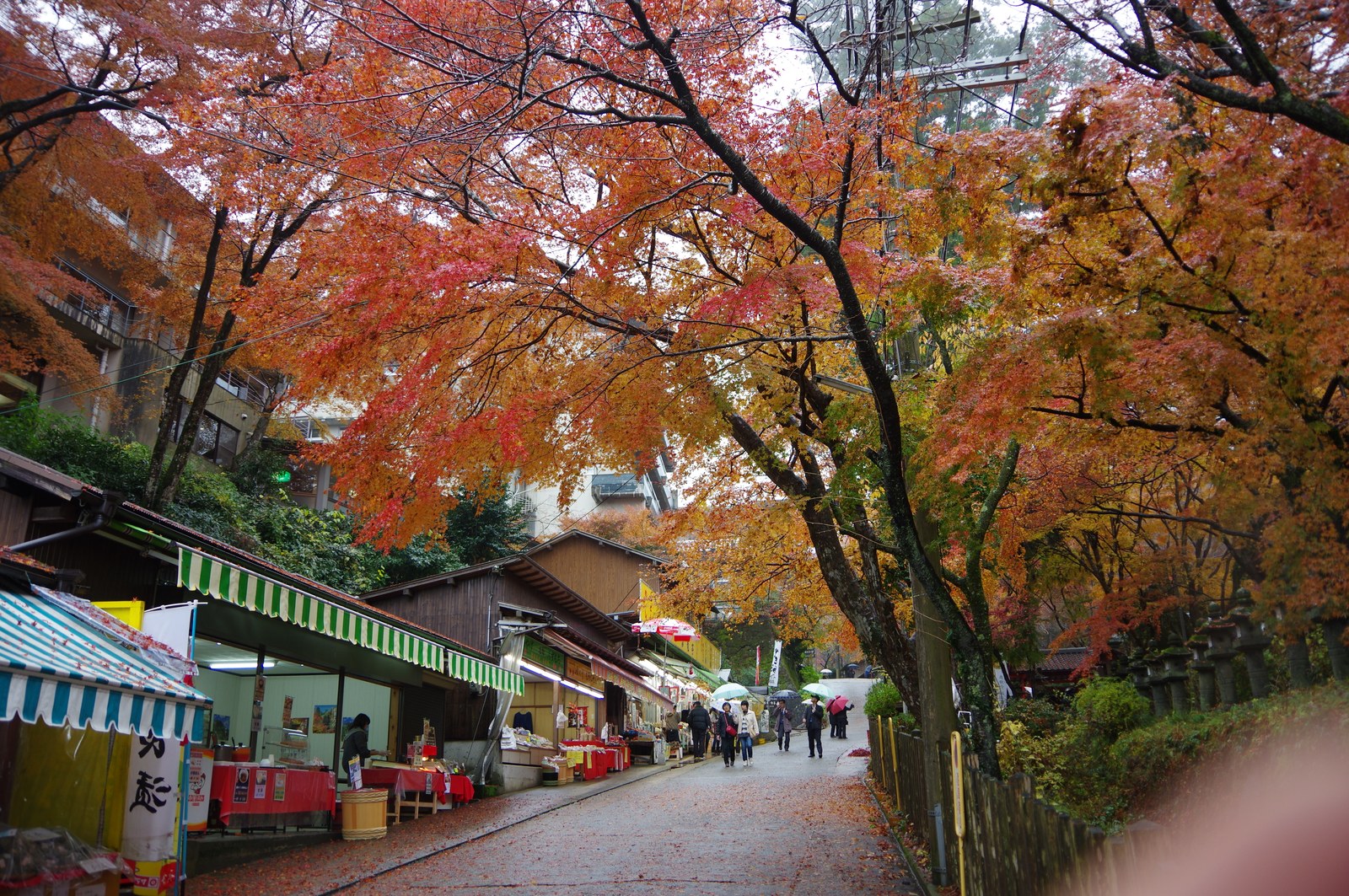 談山神社の参道。雨の中、茶店が並び頭上は紅葉のトンネル