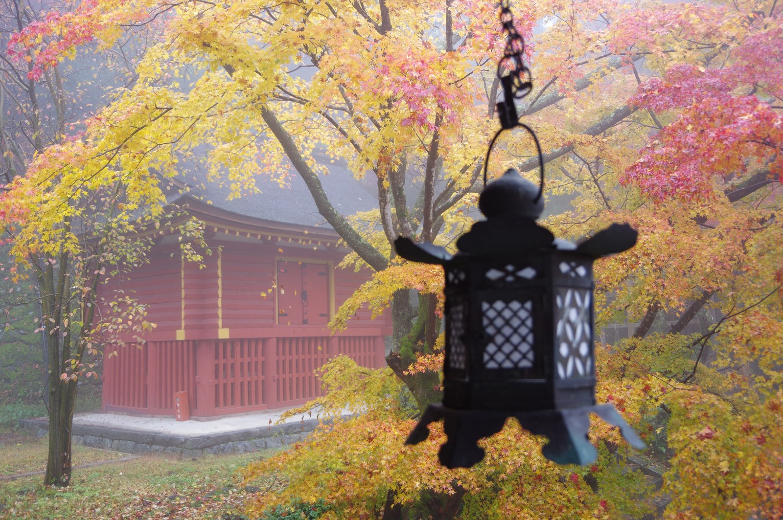 談山神社の朱色の建物と、まわりの黄葉