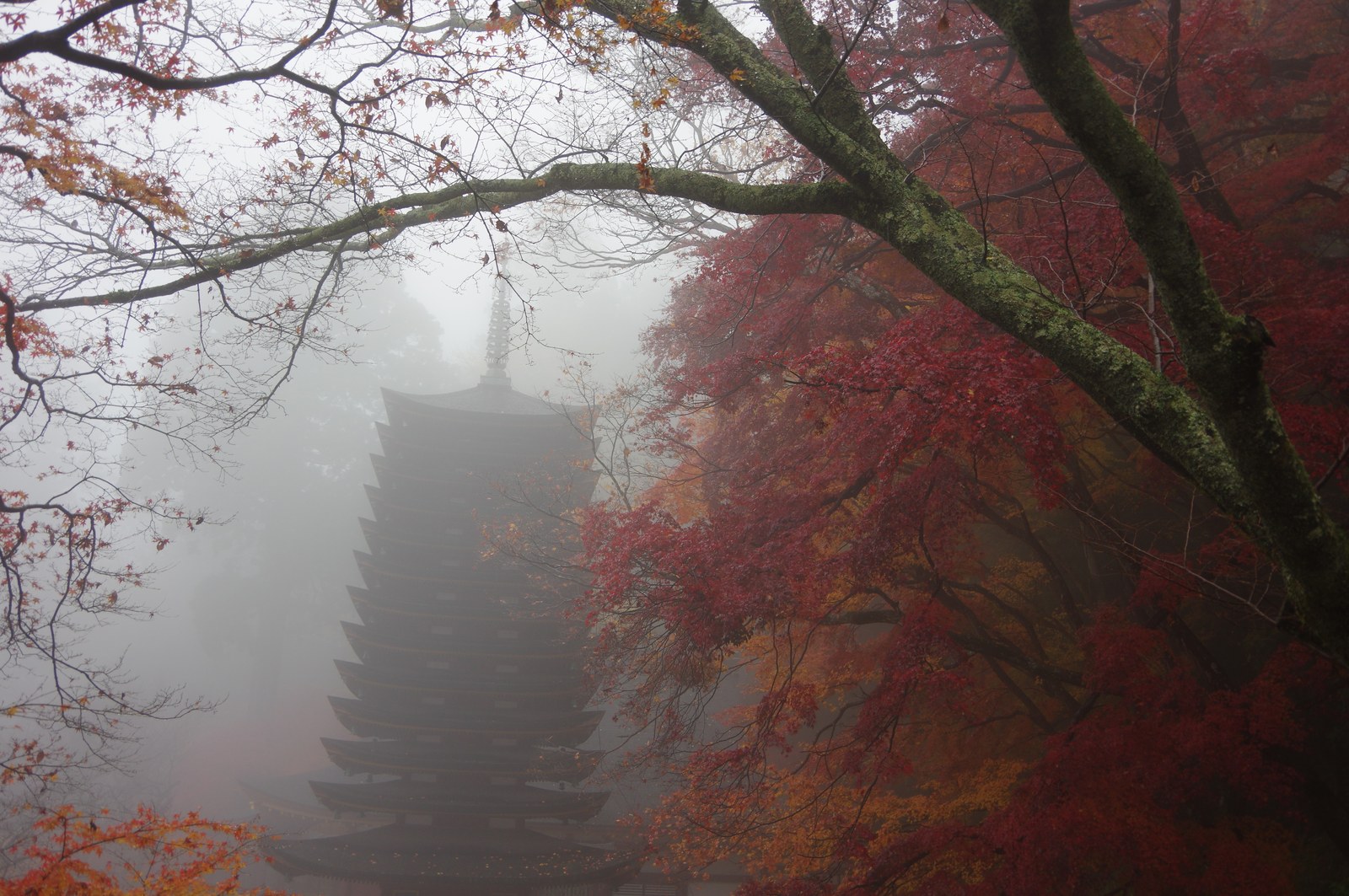 霧に沈みかけた談山神社の十三重塔と、赤い紅葉