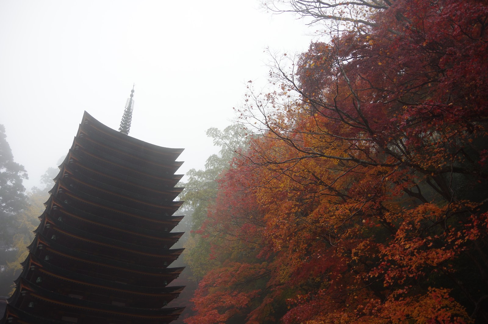 霧の中の談山神社十三重塔と、手前の赤い紅葉