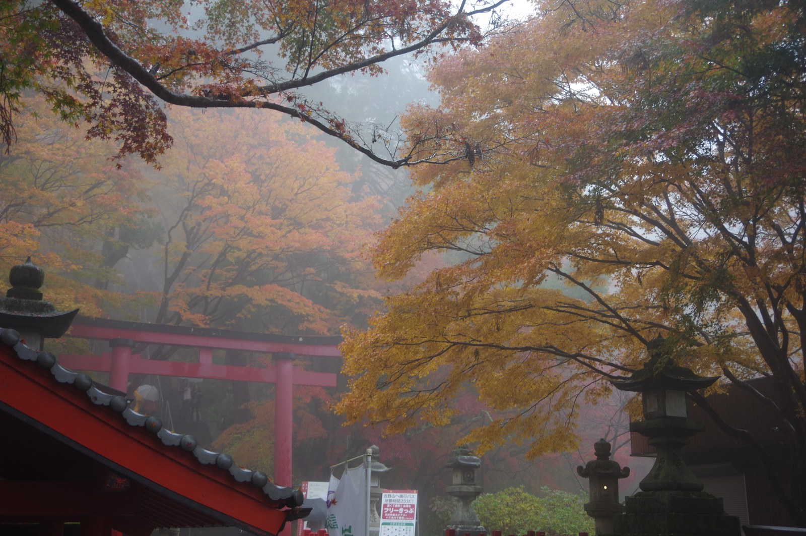 談山神社の鳥居と、黄色く色づいた木