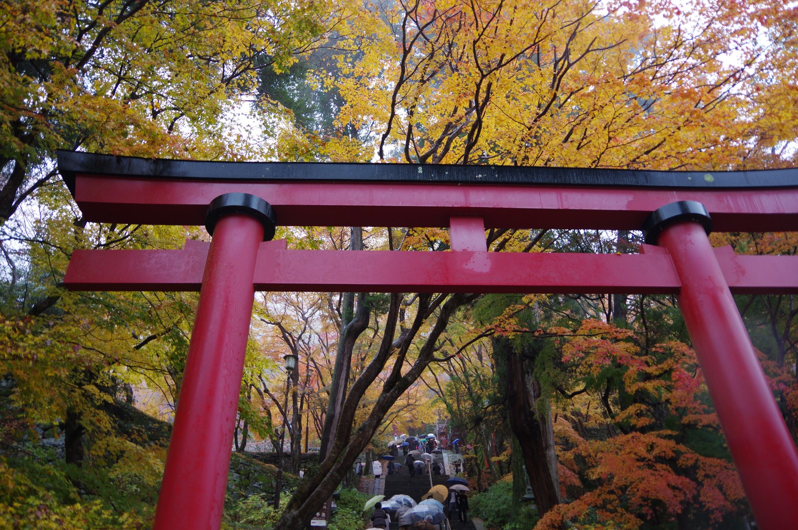 談山神社の赤い鳥居と、その向こうの黄葉