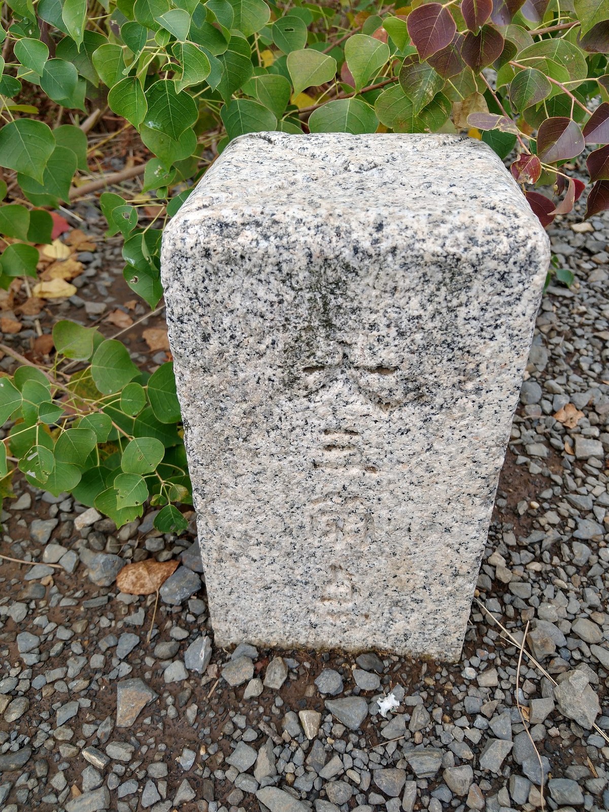 春日山原始林の入口に立つ石柱